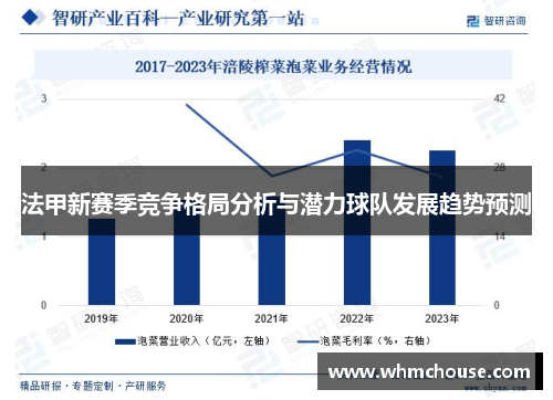 法甲新赛季竞争格局分析与潜力球队发展趋势预测