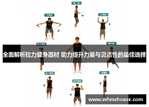 全面解析拉力健身器材 助力提升力量与灵活性的最佳选择