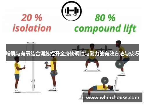 增肌与有氧结合训练提升全身协调性与耐力的有效方法与技巧
