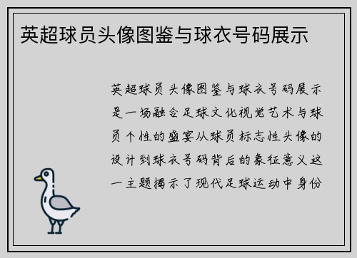 英超球员头像图鉴与球衣号码展示
