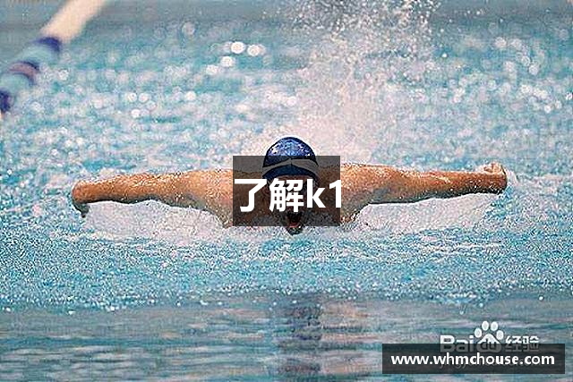 了解k1